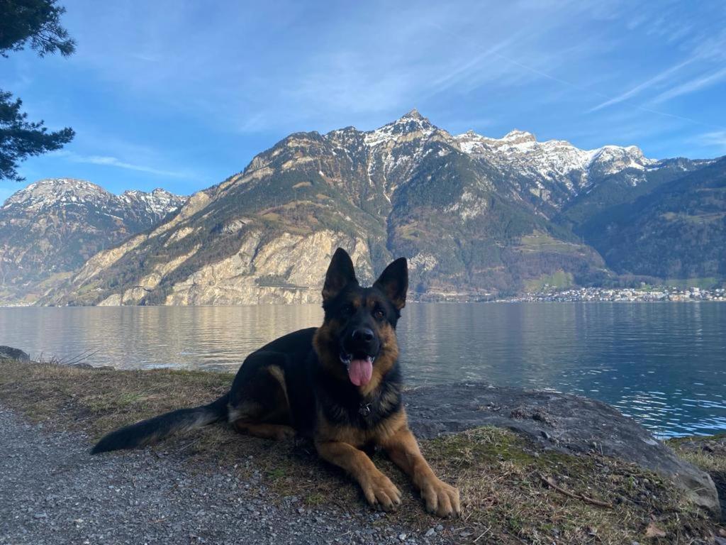 Alpenperle Apartman Isenthal Kültér fotó